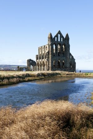 goth 12 whitby abbey 2.jpg